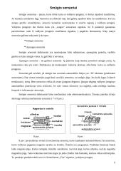 Oro pagalvės 9 puslapis