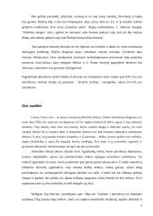 Oro taršos problema 3 puslapis