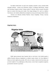 Oro taršos problema 5 puslapis