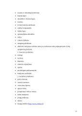 Paauglystė vaikų globos namuose: dažniausi žalingi įpročiai 13 puslapis