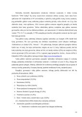 Paauglystė vaikų globos namuose: dažniausi žalingi įpročiai 16 puslapis