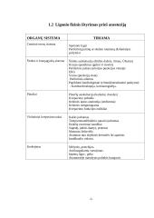 Paciento rengimas anestezijai ir operacijai 6 puslapis