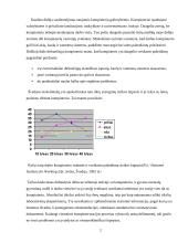 Pagrindiniai sveikatos rizikos veiksniai dirbant kompiuteriu 2 puslapis