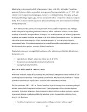 Pagrindiniai sveikatos rizikos veiksniai dirbant kompiuteriu 12 puslapis