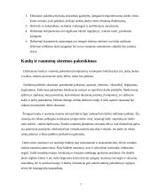 Pagrindiniai sveikatos rizikos veiksniai dirbant kompiuteriu 7 puslapis