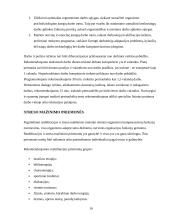 Pagrindiniai sveikatos rizikos veiksniai dirbant kompiuteriu 10 puslapis