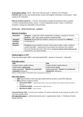 Biologijos konspektas egzaminui 2 puslapis