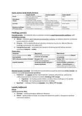 Biologijos konspektas egzaminui 4 puslapis