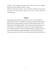 Paklausa ir pasiūla (su kreivėmis) 6 puslapis