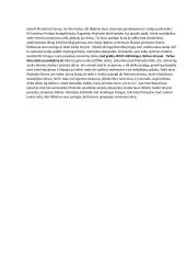 Meilės tėvynei tema literatūroje 2 puslapis