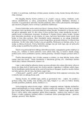 Paleoazijiečių mitologija 2 puslapis