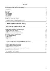 Palydovinės mobilaus ryšio informacijos perdavimo sistemos 2 puslapis