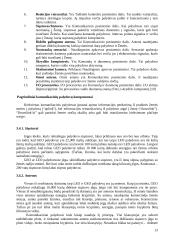 Palydovinės mobilaus ryšio informacijos perdavimo sistemos 13 puslapis