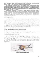 Palydovinės mobilaus ryšio informacijos perdavimo sistemos 14 puslapis