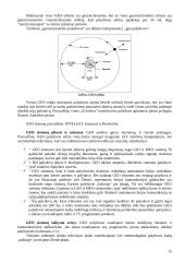 Palydovinės mobilaus ryšio informacijos perdavimo sistemos 15 puslapis