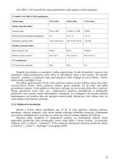 Palydovinės mobilaus ryšio informacijos perdavimo sistemos 20 puslapis