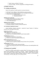 Palydovinės mobilaus ryšio informacijos perdavimo sistemos 10 puslapis