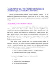 Pardavimo skatinimas 5 puslapis