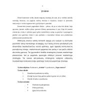Parduotuvių veiklos analizė: "Avitela" ir "Topo centras" 2 puslapis