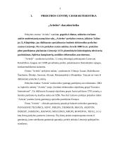 Parduotuvių veiklos analizė: "Avitela" ir "Topo centras" 3 puslapis