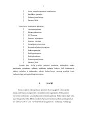 Parduotuvių veiklos analizė: "Avitela" ir "Topo centras" 7 puslapis