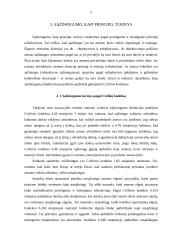 Teisingumo, sąžiningumo ir protingumo principai civilinėje teisėje ir teismų praktikoje 5 puslapis