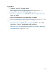 Asambliažo kūrinys „Atsisveikinimas“ 13 puslapis