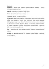 Asambliažo kūrinys „Atsisveikinimas“ 14 puslapis