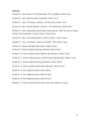 Asambliažo kūrinys „Atsisveikinimas“ 15 puslapis