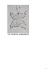 Asambliažo kūrinys „Atsisveikinimas“ 19 puslapis