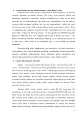 Asambliažo kūrinys „Atsisveikinimas“ 5 puslapis