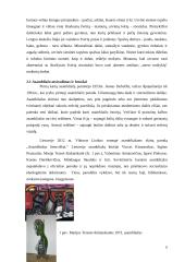 Asambliažo kūrinys „Atsisveikinimas“ 6 puslapis