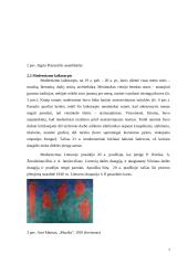 Asambliažo kūrinys „Atsisveikinimas“ 7 puslapis