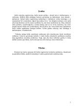 Partnerystės santykių tarp vadovų ir tarnautojų formavimas 2 puslapis
