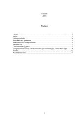 Pasaulinis informacinių komunikacijų tinklas (Europoje ir kt.) ir jo ekonominė charakteristika 2 puslapis