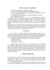 Pasaulinis informacinių komunikacijų tinklas (Europoje ir kt.) ir jo ekonominė charakteristika 5 puslapis