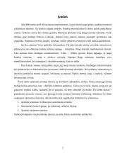 Pasaulio miestai 2 puslapis