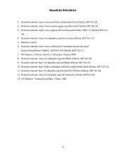 Pasaulio miestai 13 puslapis