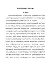 Pasaulio miestai 3 puslapis