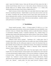 Pasaulio miestai 4 puslapis