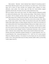 Pasaulio miestai 7 puslapis