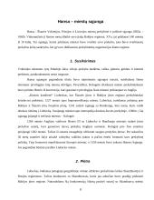 Pasaulio miestai 8 puslapis