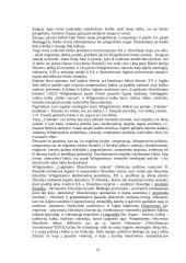 Pasaulis ir būtis 13 puslapis