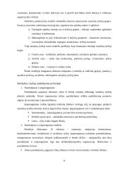 Paslaugos samprata 6 puslapis