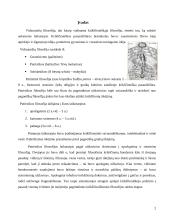 Patristikos ir Viduramžių filosofija 2 puslapis