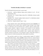 Patristikos ir Viduramžių filosofija 3 puslapis