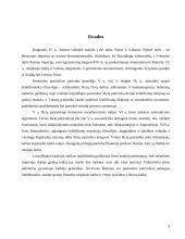 Patristikos ir Viduramžių filosofija 9 puslapis