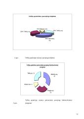 Pavojingi objektai Lietuvoje: AB "Mažeikių nafta" 12 puslapis