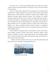 Pavojingi objektai Lietuvoje: AB "Mažeikių nafta" 5 puslapis