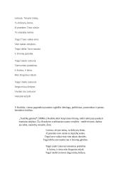Kudirkos eilėraščių analizė 3 puslapis